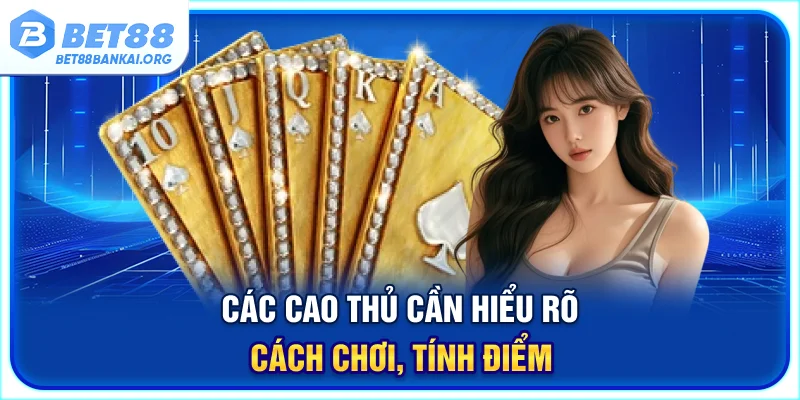 Các cao thủ cần hiểu rõ cách chơi, tính điểm